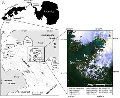 Importance of nanophytoplankton biomass during summer 2019 in a retreating marine-terminating glacier-fjord system, Marian Cove, West Antarctica (62°S)
